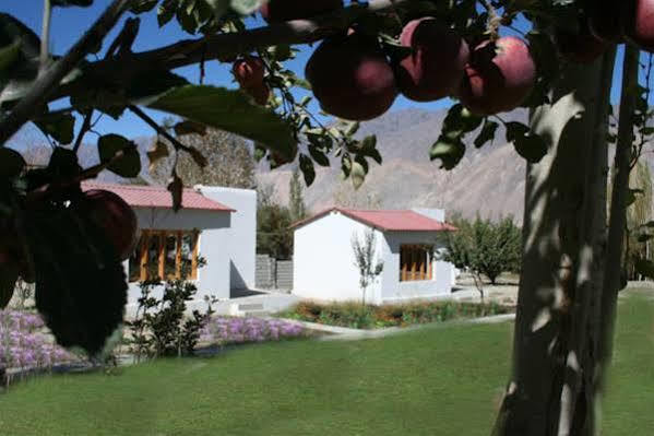 Himalayan Eco Resort Hundar Dış mekan fotoğraf