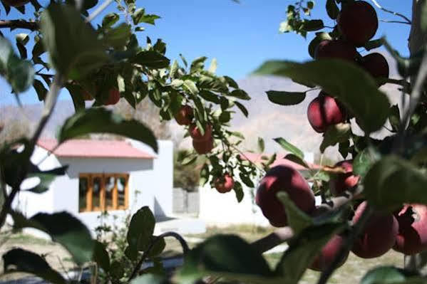 Himalayan Eco Resort Hundar Dış mekan fotoğraf