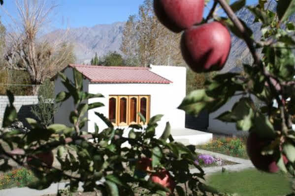 Himalayan Eco Resort Hundar Dış mekan fotoğraf