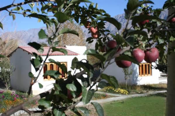 Himalayan Eco Resort Hundar Dış mekan fotoğraf